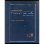 Anatomy of domestic animals pasquini pdf