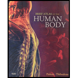 Brief Atlas of the Human Body