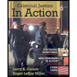 Criminal Justice in Action (Paper)