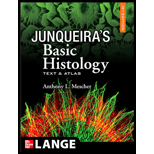 Jungueiras Basic Histology   Text Only