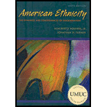 American Ethnicity (Custom)