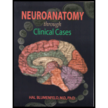 Neuroanatomy Through Clinical Cases