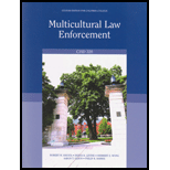 Multicultural Law Enforcement (Custom)