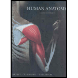 Human Anatomy   Text Only