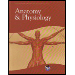 Anatomy and Physiology (Custom)