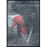 Human Anatomy   Package