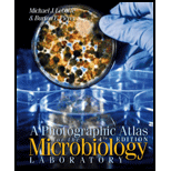 cover of Photographic Atlas for the Microbiology Laboratory (Looseleaf) (4th edition)
