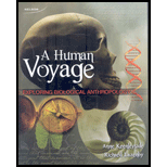 Human Voyage (Canadian)