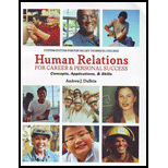 Human Relations (Custom)