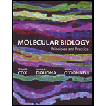 Molecular Biology Principles and Practice