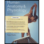 Human Anatomy and Physiology with Interactive Physiology    Package