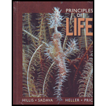 Principles of Life   With Access