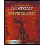 Anatomy and Physiology An Introduction