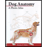 Dog Anatomy Photo Atlas