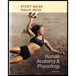 Human Anatomy and Physiology   Study Guide