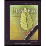 Biology  Concepts and Investigations.,Volume 1 (Custom)