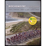 Biochemistry  A Short Course (Looseleaf)