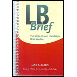 Lb Brief (Custom)