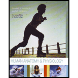 Human Anatomy and Physiology (Custom)