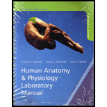 Lab Manual Anatomy Physiology Marieb 10 Edition