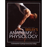 Seeleys Anatomy and Physiology (Custom)