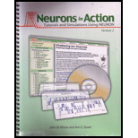 Neuroscience   With Neurons in Actions 2