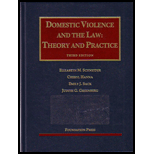 Domestic Violence and the Law  Theory and Pract.