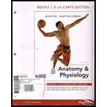 Essentials of Anatomy and Physiology (Loose)