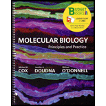 Molecular Biology Principles and Practice (Custom)