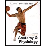 Essentials of Anatomy and Physiology   With CD and Access