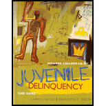 Juvenile Delinquency  The Core (Custom)