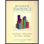 Business Statistics (Custom)