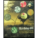 Micro Biology 4000 Std  Text Only (Custom)