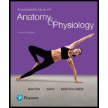 Fundamentals of Anatomy and Physiology   Text Only 11TH 18 Edition, by Frederic H Martini and Judi L Nath - ISBN 9780134396026