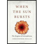 When the Sun Bursts - Christopher Bollas