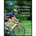 Human Anatomy and Physiology Laboratory Manual Cat   Text Only 13TH 19 Edition, by Elaine N Marieb and Lori A Smith - ISBN 9780134632339