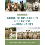Guide to the Dissection of the Horse and Ruminants   Lab Manual 3RD 18 Edition, by Terri L Clark - ISBN 9781681354156