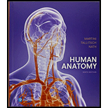 Human Anatomy   With Access 9TH 18 Edition, by Frederic H Martini Robert B Tallitsch and Judi L Nath - ISBN 9780134855356