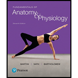 Fundamentals of Anatomy & Physiology - Frederic H. Martini