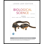 Biological Science (Looseleaf) by Scott Freeman, Kim Quillin, Lizabeth Allison and Michael Black - ISBN 9780135272800
