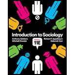 Introduction To Sociology Seagull Edition With Access 11th Edition 9780393639452 Textbooks 