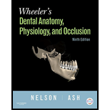 Wheeler's Dental Anatomy, Physiology and Occlusion - Stanley J. Nelson