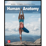 Human Anatomy Looseleaf 6TH 21 Edition, by Michael McKinley Valerie OLoughlin and Elizabeth Pennefather OBrien - ISBN 9781260443820