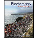 Biochemistry Short Course   Package 4TH 19 Edition, by John L Tymoczko - ISBN 9781319346447