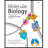 Molecular Biology: Principles of Genome Function 3rd edition ...