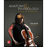 Anatomy and Physiology Looseleaf Custom Package 9TH 21 Edition, by Kenneth Saladin - ISBN 9781264304240