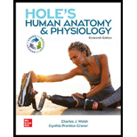 Holes Human Anatomy and Physiology Looseleaf   With Access 16TH 22 Edition, by Charles Welsh and Cynthia Prentice Craver - ISBN 9781266367670
