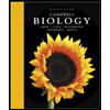Campbell Biology - With Mod. Masterbiology by Lisa A. Urry, Michael L. Cain, Steven A. Wasserman and Peter V Minorsky - ISBN 9780134683461