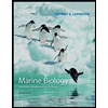 Marine-Biology, by Jeffrey-Levinton - ISBN 9780197543504
