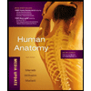 Human Anatomy: Media Update - Package by Elaine N. Marieb - ISBN 9780321753267
